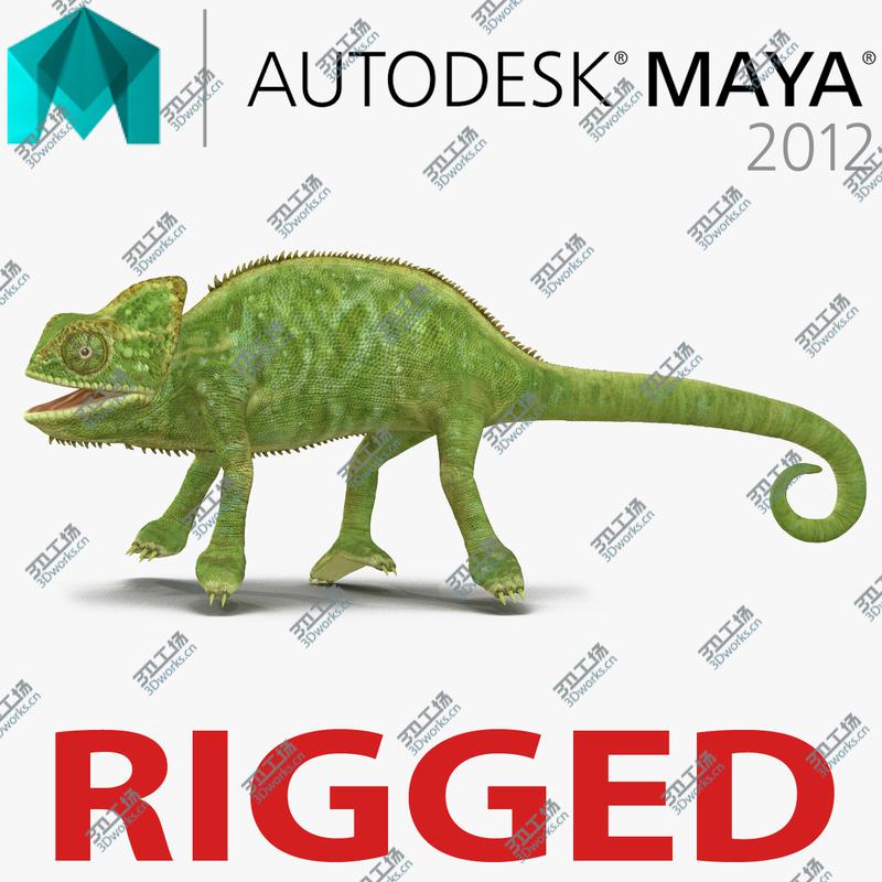 images/goods_img/2021040162/Chameleon Rigged for Maya/1.jpg